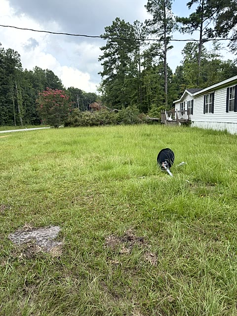Property before full yard mowing