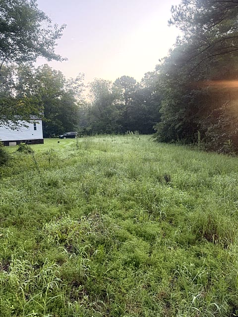 Property before bush hogging an overgrown lot