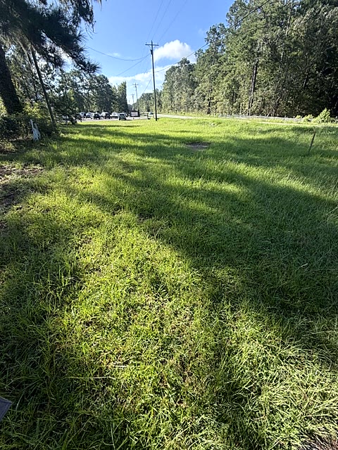 Property before roadside lot mowing and cleanup